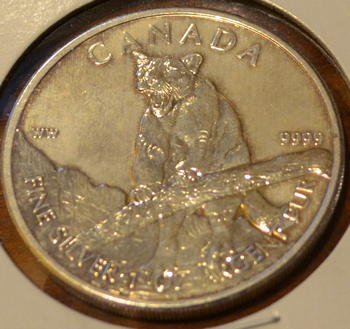 Canada $5 Cougar