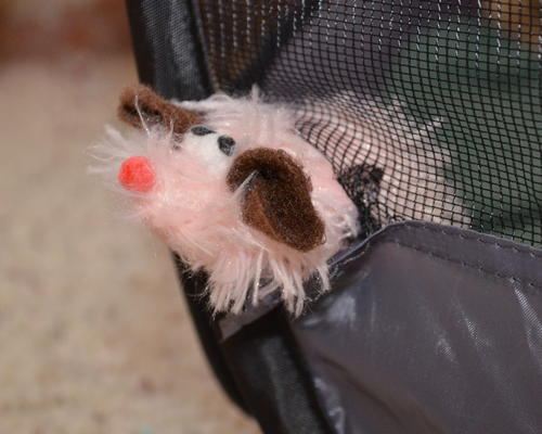playland hole pink mouse closeup
