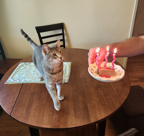 Dad brought her tasty treat with flaming birthday candles. 